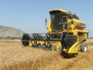 Çiftçiler Birliği: "Rekoltede yüzde 50 kayıp var"