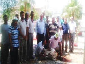 Paşaköy'de suyun gelişi kutlandı...