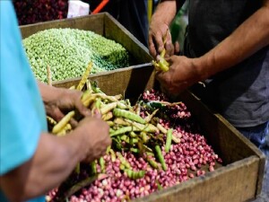 FAO: Küresel gıda fiyatları 5 ay sonra yeniden yükselişe geçti