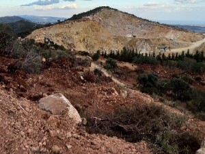Çevre Platformu’ndan savcılığa çağrı: Orman arazileriyle ilgili iddialar soruşturulsun!