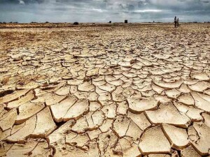 Küresel iklim değişikliği performans endeksinde ilk 3 sıra yine boş kaldı