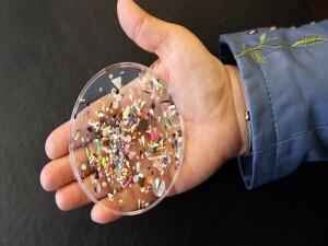 Bilim insanları, mikroplastiklerden kaçınmanın basit yolunu açıkladı