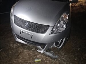 Karpazda aynı eşeğin karıştığı 2 kaza sonucunda eşek hayatını kaybetti