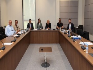 Komite, hudut düzenlemeleri ve yasa tasarılarını Genel Kurul’a sevk etti
