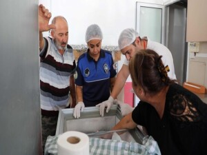 DAB Sağlık Şubesi'nin aylık raporu: 35 iş yeri denetlendi, önlemler alındı