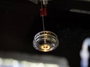 Sosyal medyanın yeni sağlık trendi berrak protein nedir?