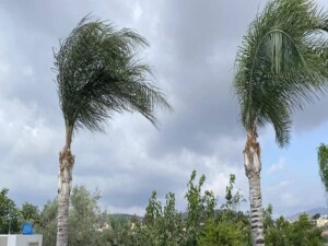 Fırtına uyarısı: Rüzgar saatte 74 km’ye ulaşabilir