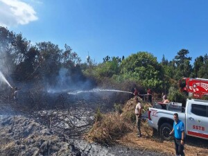 Yeşilköy’deki yangın kısa sürede kontrol altına alındı: 22 araç ve 52 personel ile müdahale edildi!