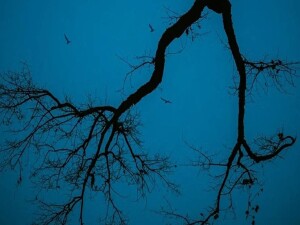 'Yılın en depresif günü' bugün: Mavi Pazartesi gerçek mi?