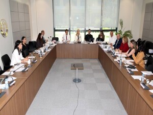 Ekonomi, Maliye, Bütçe ve Plan Komitesi, Kamu İhale (Değişiklik) Yasa Tasarısı’nı görüştü