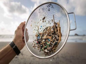 Yeni araştırma: Mikroplastik sayısı sanıldığı kadar çok değil mi?