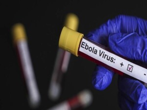 DSÖ, Uganda'da şimdiye kadar 19 Ebola virüsü vakasının görüldüğünü bildirdi