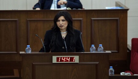 Fazilet Özdenefe: Gece kulübüne getirilen kadınlar mal gibi görülüyor, mevuzata aykırı çalıştırılıyor