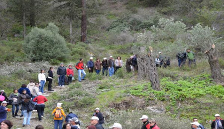 “Orkide Vadisi Gözlem Yürüyüşü”nün 14’üncüsü pazar günü yapılacak