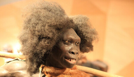 Neandertallerin dev filleri nasıl avladığı ortaya çıktı