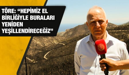 Meclis Başkanı Töre, yangın bölgesini inceledi