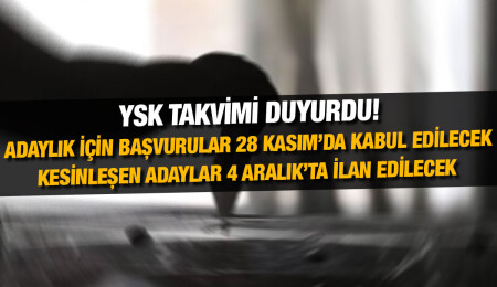 Seçim yasakları 16 Kasım’da, propaganda süreci 5 Aralık’ta başlayacak