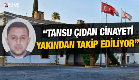 Suç ve Suça İlişkin Konular Teknik Komitesi: Cumhurbaşkanı, Tansu Çıdan cinayetini yakından takip ediyor