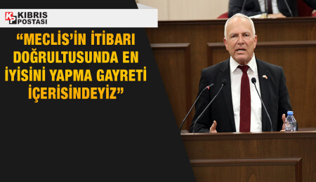 Zorlu Töre: Meclis’in aracı arızalı olduğu için eşimin aracına makam plakası taktık