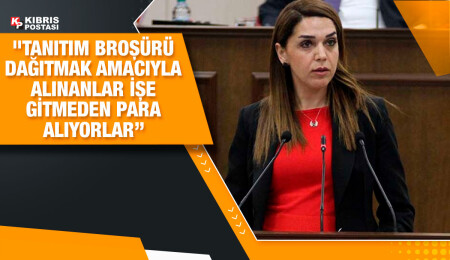 Fide Kürşat: Turist ve turizmi önemsiyorsanız kara sınır kapılarındaki yığılmaları çözün