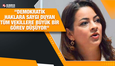 Mine Atlı: Seferberlik çağrısını reddeden Mustafa Hürben hapislik cezasıyla karşı karşıya