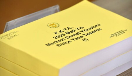 2025 Bütçe Yasa Tasarısı Komitede görüşülüyor: Muhalefet eleştirdi, Bakan Berova yanıtladı