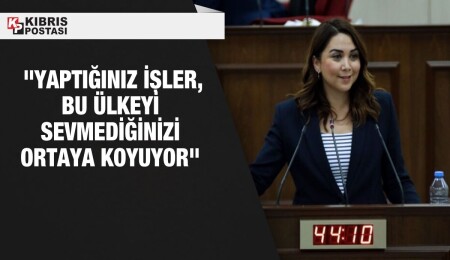 Ayşegül Baybars: Öğretmenler (Değişiklik) Yasa Tasarısı ne murat ediyor?