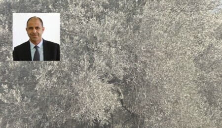 Kudret Özersay: Şirinevler, Akçiçek ve Göçeri'de taş ocaklarının yarattığı yoğun toz köylüleri mağdur ediyor