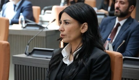 Özdenefe’den hükümete: Çekirge sürüsü gibisiniz, doymuyorsunuz
