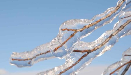 Meteoroloji uyardı: Yarın ve cuma sabah saatlerinde don bekleniyor