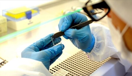 700 yıl önceki pandeminin sırları aydınlanıyor