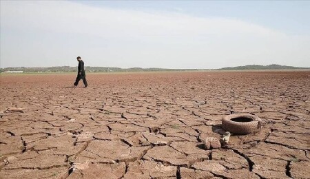 Europe Must Step Up Efforts to Protect Environment: Report