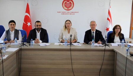 Komite, “Seçim ve Halkoylaması (Değişiklik) Yasa Önerisi”ni görüştü