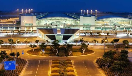Larnaka Havalimanı’nda kaybolan Mika ve Merlia kedileri bulundu