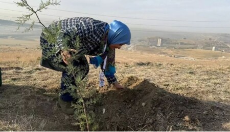 Kuzey Kıbrıs ve Türkiye'den öğretmenler, Ankara Atatürk Orman Çiftliği'ne fidan dikti