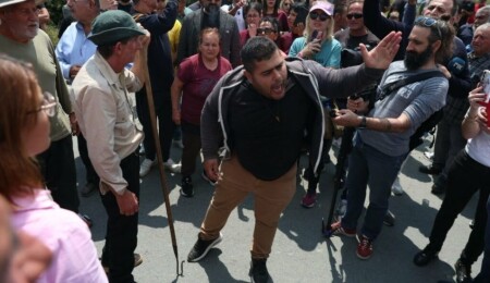 Güney'de Şap hastalığı protestosu: Yollar kapandı, eylemci Adalet bakanına bebeğini uzattı