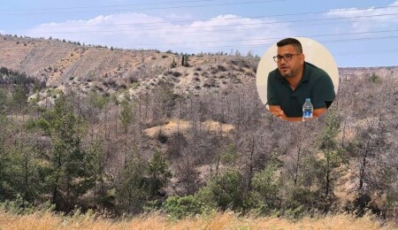 Hasan Sarpten: Dilerim ölen her her bir ağacın vebali bir gün gelir sizi bulur