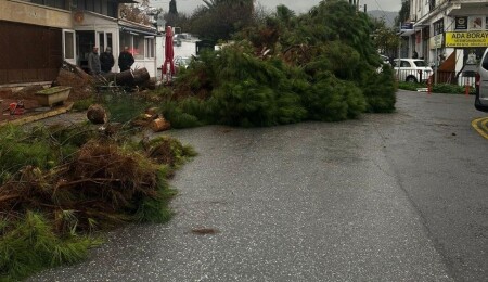 Girne’de aşırı yağış etkili oldu: Belediye ekipleri sahada