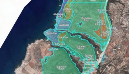 Avcılık Federasyonu’ndan orman arazilerinin yapılaşmaya açılmasına tepki: Ekosistem üzerinde ciddi riskler oluşturur