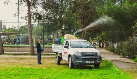 Lefkoşa Türk Belediyesi'nin çam kese böceğiyle mücadelesi sonuç verdi: Şikâyetler 9’a düştü
