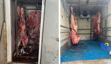 Hamitköy’de kaçak et operasyonu: 1 ton 395 kilo büyükbaş ve 70 kilo küçükbaş et imha edildi