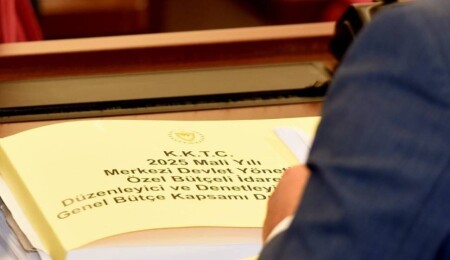 419 milyon 967 bin TL’lik Ekonomi ve Enerji Bakanlığı bütçesi oyçokluğuyla kabul edildi