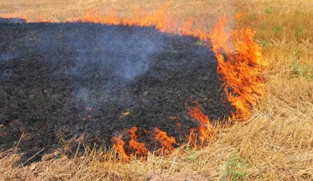 Police Warn: Stubble Burning is a Crime