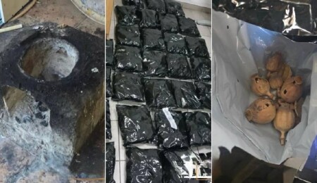 Güney Kıbrıs’ta ilk kez ve çok miktarda afyon haşhaşı ele geçirildi