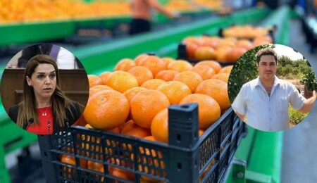 Müdürsüz Cypfruvex’te son durum: Üretici, ürününün karşılığını alamadı