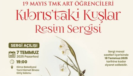 ‘Kıbrıs’taki Kuşlar’ resim sergisi sanatseverlerle buluşuyor