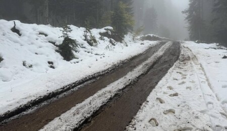 Doğu Anadolu’da kar ulaşımı vurdu: 4 ilde 530 yerleşim yerinin yolu kapalı