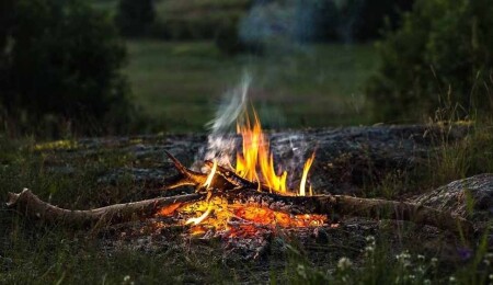 Ormanlık alanlarda ateş yakmak yasaklandı: 31 Ekim'e kadar geçerli