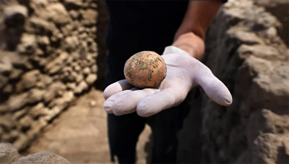 Yumurtanın yerini alabilecek protein zengini alternatif besinler