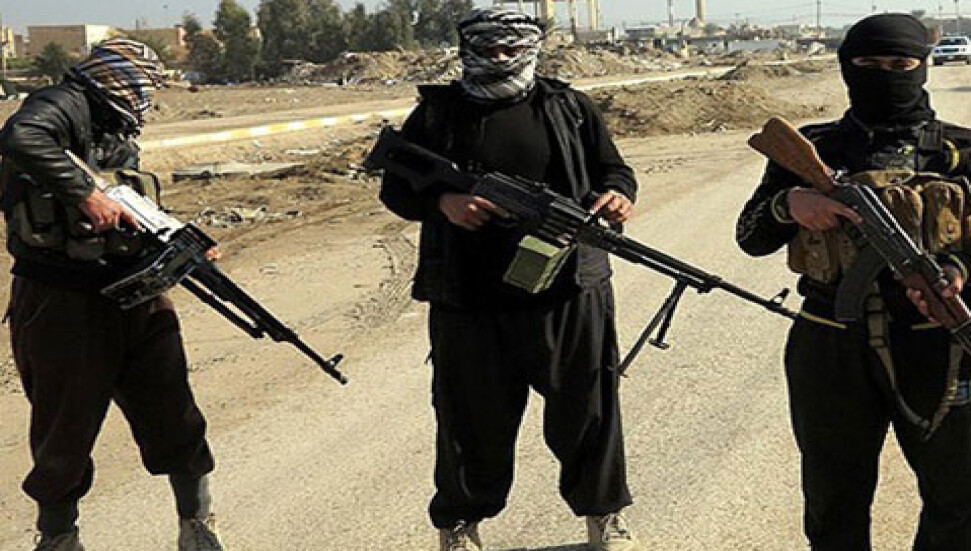 Turkey Captures Over 350 ISIL Terrorists as Raids Stepped Up After Yalova Clash